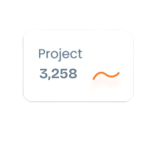 Project